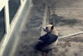 /album/galeria-de-fotos/zoo-16-n-jpg/